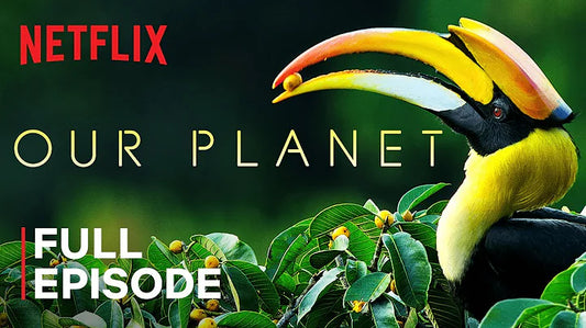 Exploring Earth's Biomes: Unlocking the Secrets of the World's Ecosystems
