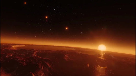 The Search for Habitable Exoplanets: The Importance of International Collaboration