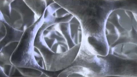 The Effects of Microgravity on the Human Body: A Comprehensive Study