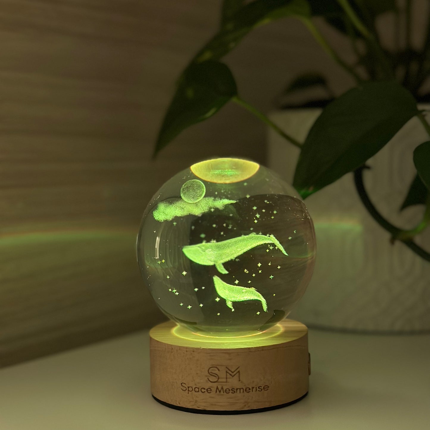 Whale and Space Lamp