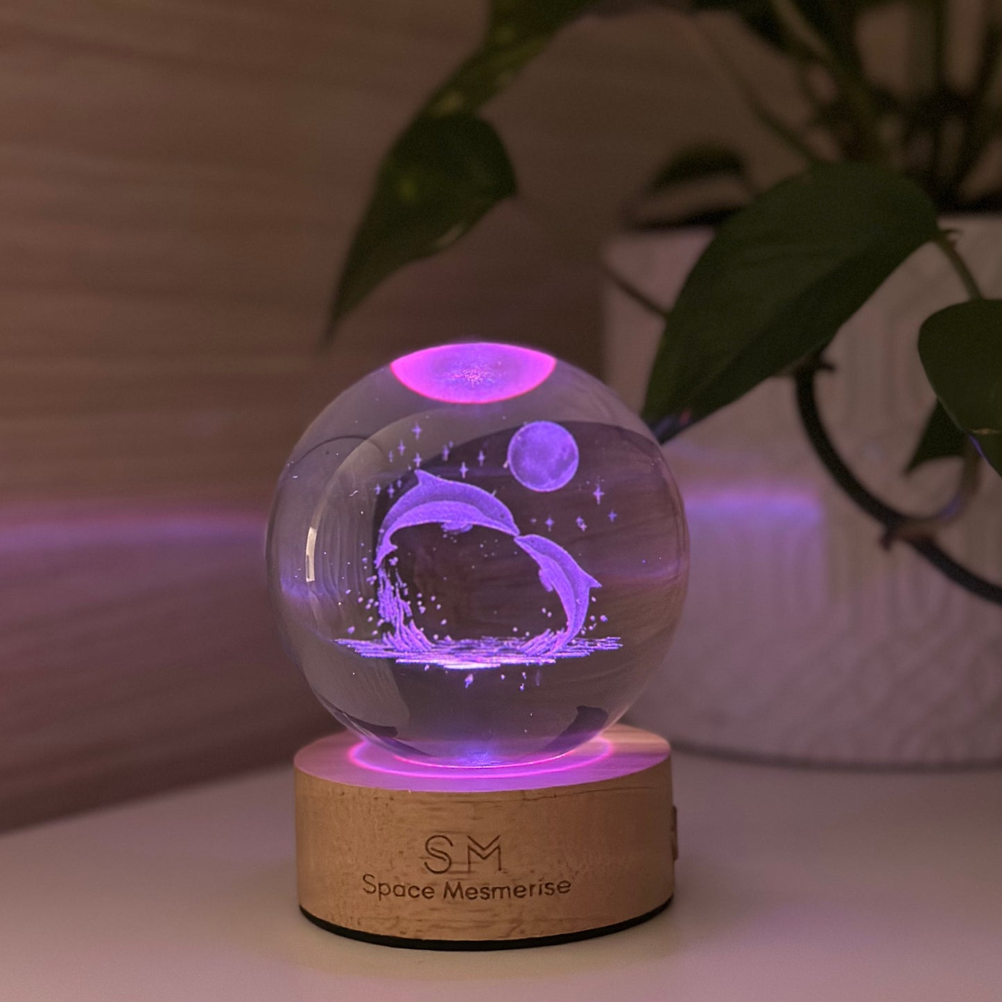Whale and Space Lamp