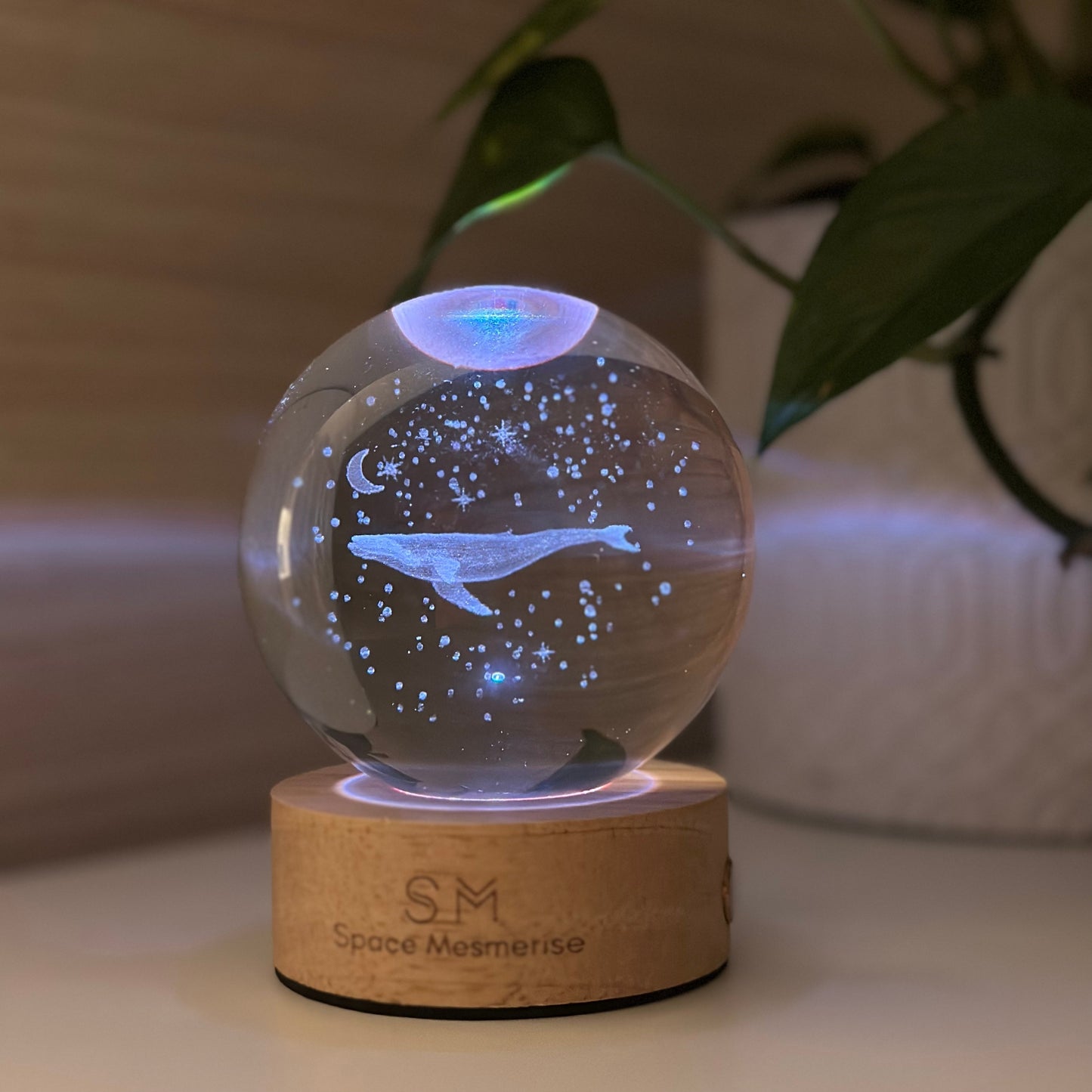 Whale and Space Lamp