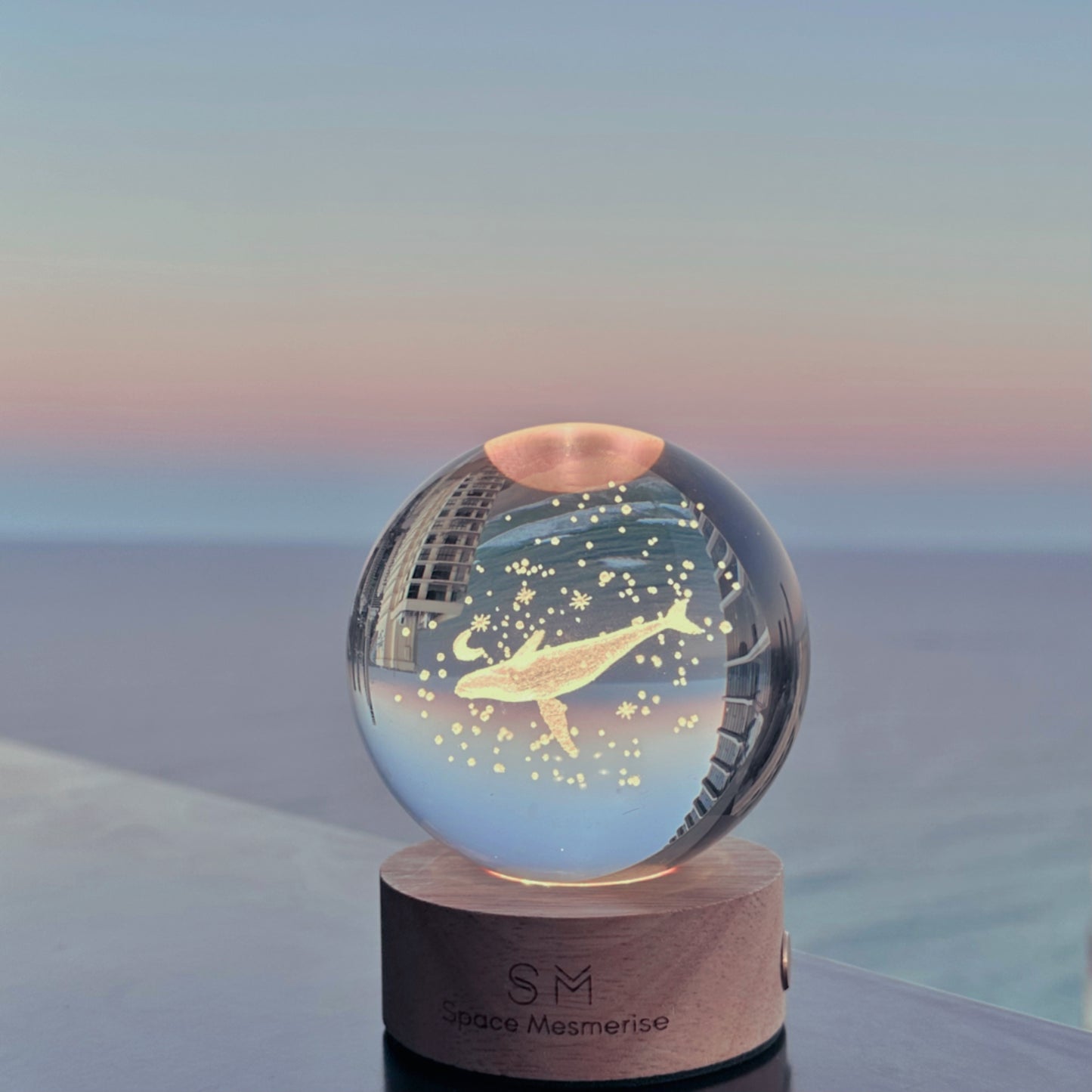 Whale and Space Lamp