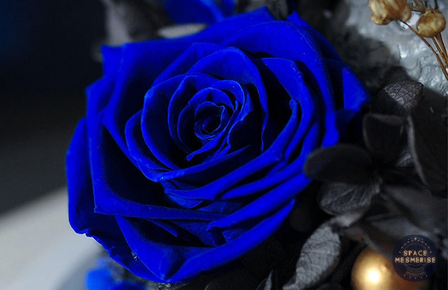 Space Themed Eternal Roses - Space Mesmerise - Space Gifts | Lamps | Statues | Home Decor