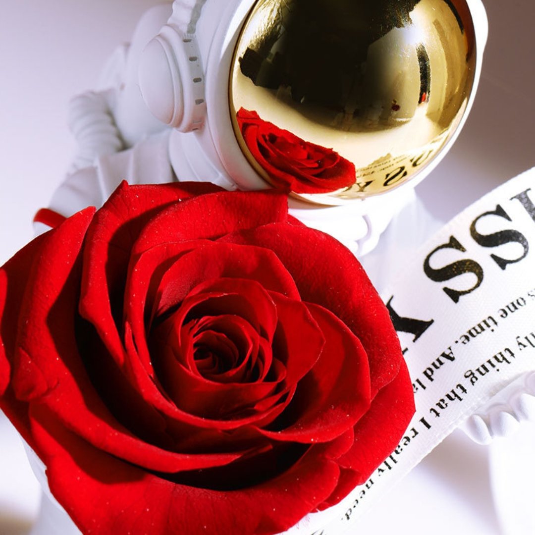 Space Themed Eternal Roses - Space Mesmerise - Space Gifts | Lamps | Statues | Home Decor