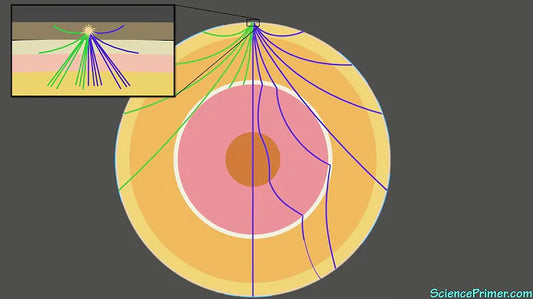 Unlocking the Secrets of Earthquakes: The Science of Seismology