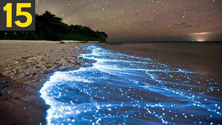 Something In Nature The Top 10 Unique Natural Phenomena on Earth: Experience Nature's Brea ...