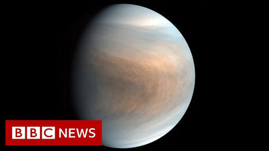 Exploring the Possibilities of Life in Venus's Clouds: A Comprehensive Analysis