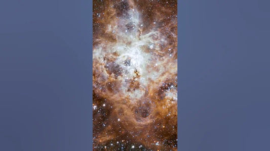 Unveiling the Spectacular Beauty: The Tarantula Nebula and its Star-Forming Wonders