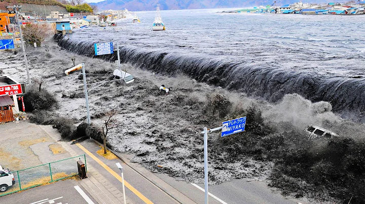 The Devastating Impact of The Top 10 Natural Disasters in Earth's Hist ...
