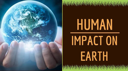 Human Activities Threaten the Survival of Earth's Environment: A Comprehensive Analysis