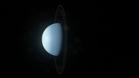 Exploring The Mysterious Impact of Uranus' Moons on its Ring System