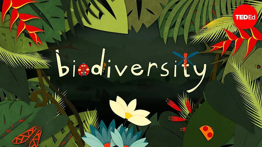 The Vital Importance of Biodiversity on Earth