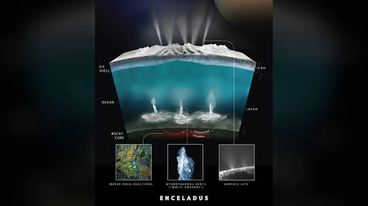 Exploring the Enigmatic Plumes on Enceladus: A Journey Through Compositions and Dynamics