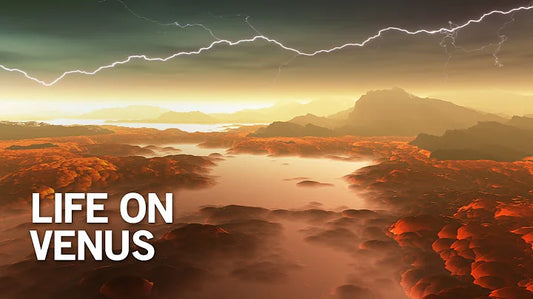 Unveiling the Secrets of Venus' Clouds: Composition and Formation