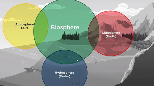 Understanding Earth's Climate and the Water Cycle: Exploring the Complex Interconnections