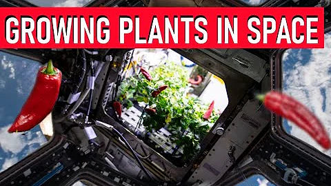 Plants in Space: The Key to Sustainable Space Exploration