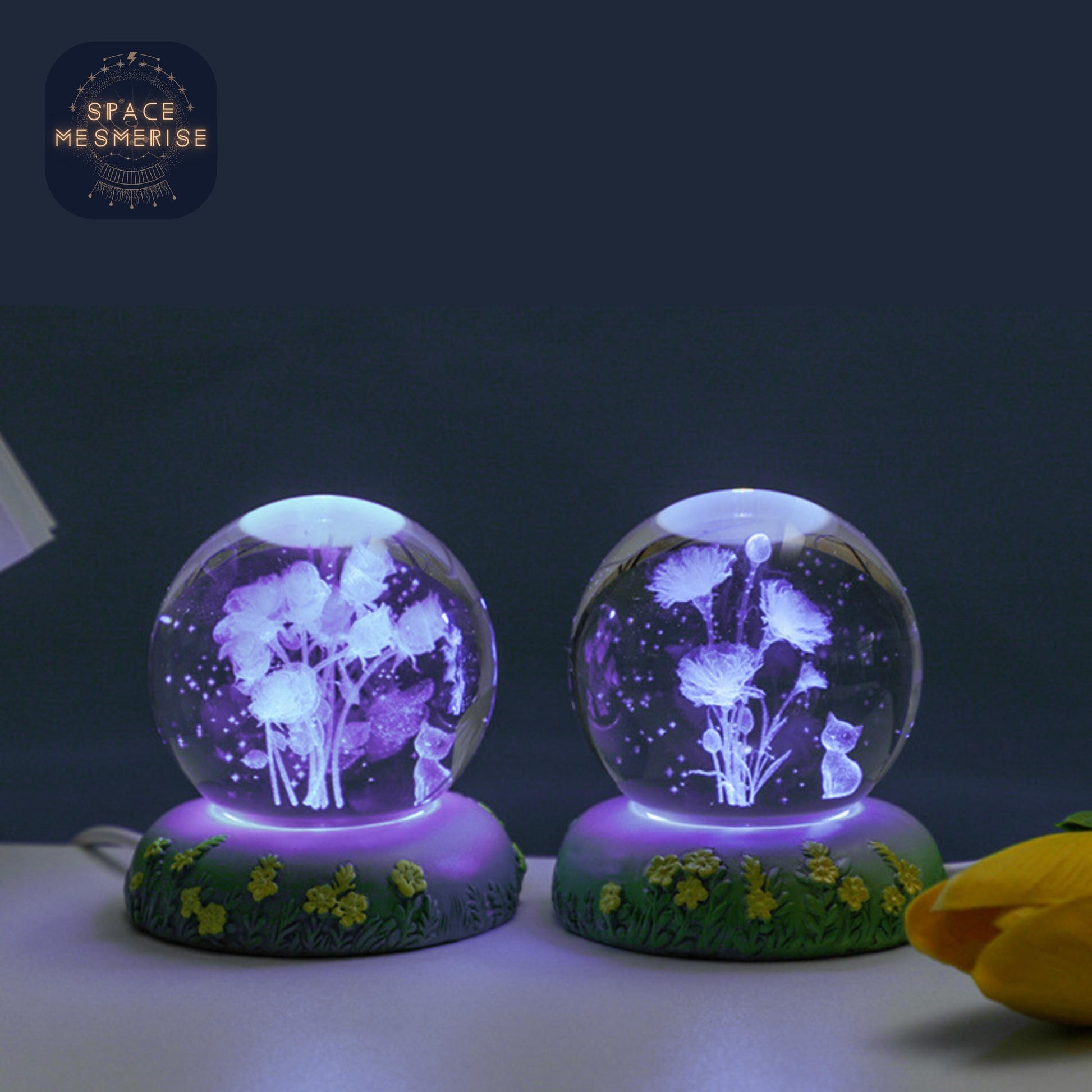 Magical Cat and Flowers Nightlight | Crystal Ball Table Lamp, Desk Lamp and Home Lighting | Colorful Nightlight