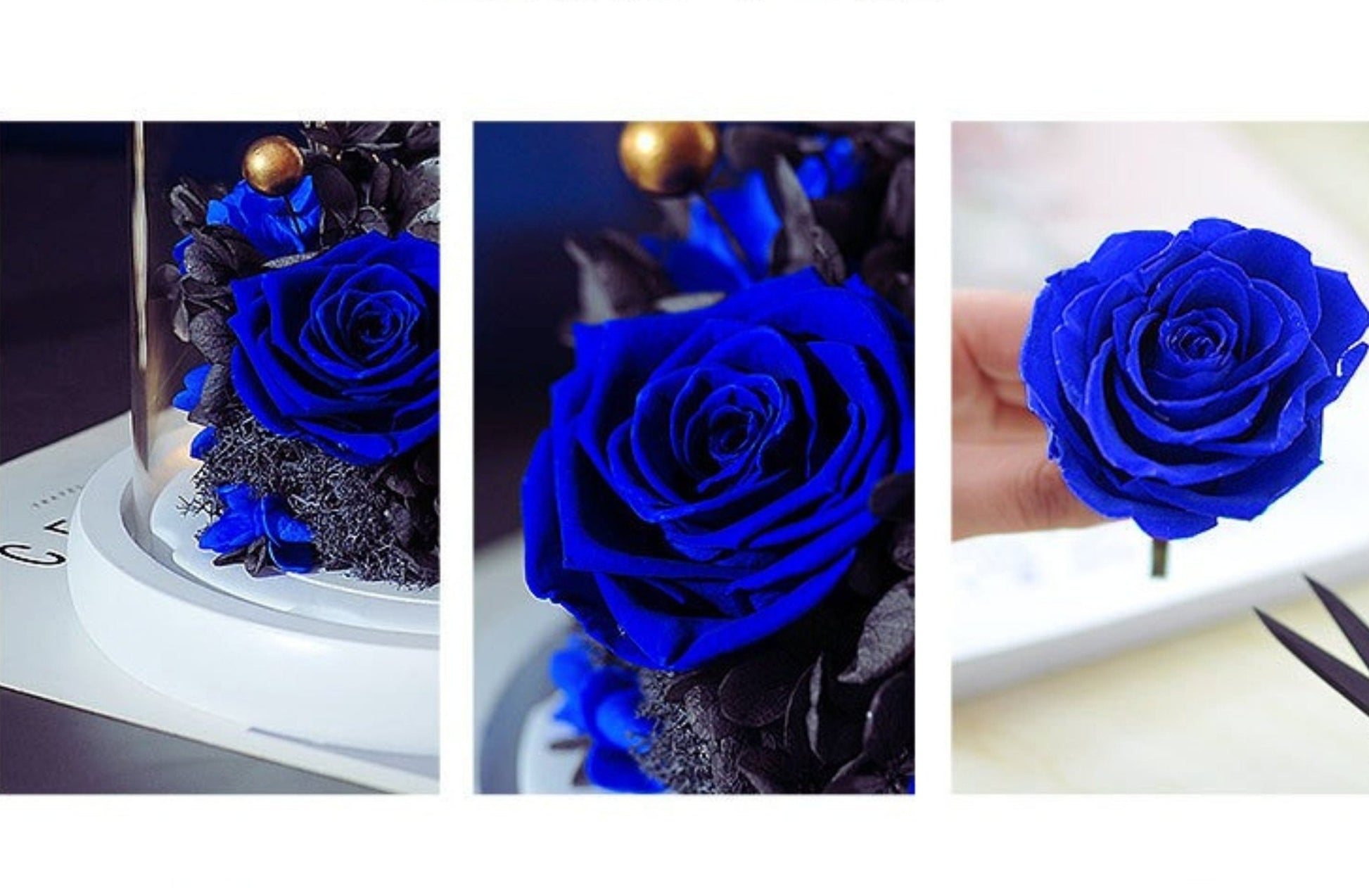 Space Themed Eternal Roses - Space Mesmerise - Space Gifts | Lamps | Statues | Home Decor