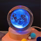 The Original Crystal Space Lamp (Colorful) - Space Mesmerise - Space Gifts | Lamps | Statues | Home Decor